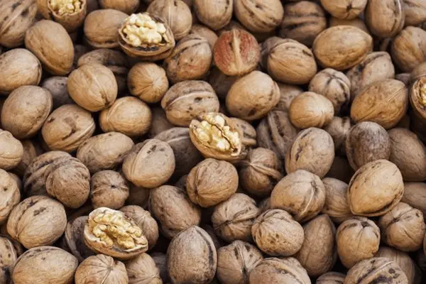 تصویر 5 از راهنمای خرید مغز گردو مامایی + قیمت عالی
